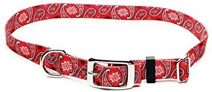 dog collar split rings