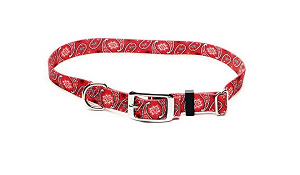 dog collar split rings