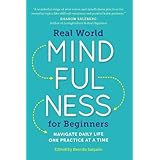 Real World Mindfulness for Beginners: Navigate Daily Life One Practice at a Time