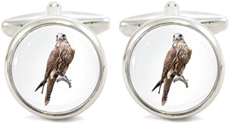 Brown Falcon Image Rhodium Plated Small Bordered Cufflinks in Gift Box