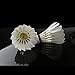 Senston Great Stability of White Goose Feather Shuttlecocks for Professional Badminton Shuttlecock Training Match (12PCS)