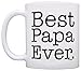 ThisWear Father's Day Gift Best Papa Ever Birthday Gift 11oz Ceramic Coffee Mug with Handle
