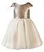 Princhar Sequin Tulle Short Girl Dress Little Girls Wedding Party Toddler Dresses