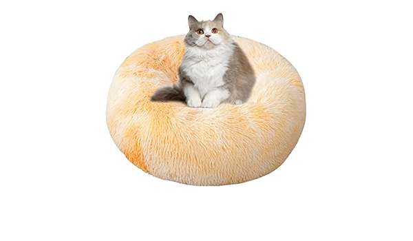 heated cat bed petbarn