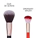Docolor Makeup Brushes 11Pieces SE Series Makeup Brushes Set Professional Face Powder Foundation Blending Contour Highlight Eye Shadow Make Up Brushes Kit (Black/Golden)…
