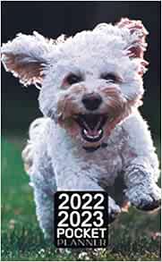 2022-2023 Pocket Planner: 2 Year Monthly Pocket Organizer &amp; Calendar 24