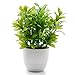 OFFIDIX Mini Plastic Artificial Eucalyptus Leaves Topiary Plant with Pots,Faux Plant Small Plants for Home,Office and Bathroom Decoration