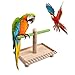 kathson Bird Perches, Parrot Stands Training Playground Play Gym Portable Tabletop Natural Wood Cage Accessories Ideal for Parakeets Lovebirds African Grey Budgiesthumb 1