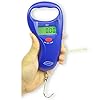 Home-Lake-Digital-Fish-Scale-by-Polychrome-Gear-99lb45kg-Mountain-Lake-Blue