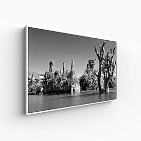 for Living Room Bedroom Monochrome Plants Framed for