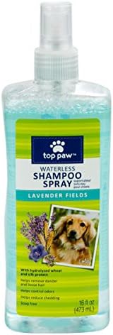 oodles of poodles grooming