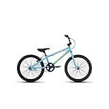 Redline Bikes Raid 20 Youth BMX, Coaster Brake, Blue