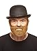 Mustaches Self Adhesive Nobleman Fake Mustache and Beard, Novelty, False Facial Hair, Costume Accessory for Adults, Chestnut Color