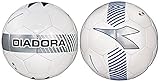 Diadora Soccer Coppa II Match Soccer Ball, White/Silver, Size 5