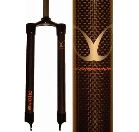 carbon 29er fork