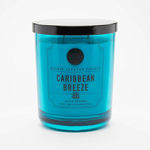 DW Home Large Double Wick Candle, Caribbean Breeze