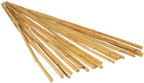 pic Bamboo Sticks For Plant Support India hydrofarm hgbb6 6 natural pack of 25 bamboo stake tan