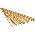 Hydrofarm HGBB6 6' Natural, pack of 25 Bamboo Stake, Tan