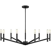 Sea Gull Lighting Vector-9 Light Chandelier-Midnight Black Finish-Incandescent Lamping Type