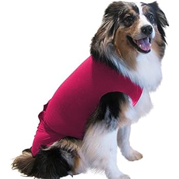 Surgi~Snuggly 1 Small Pink Dog Cone Collar Soft Suit, The Original E Collar Alternative, Antimicrobial Protects Your Pet's Wounds & Bandages - Ease Your Pets Anxiety, Plus Easy On and Easy Off - EC