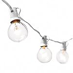 Deneve Globe String Lights with G40 Bulbs (25ft.) Connectable Outdoor Garden Party Patio Bistro Market Cafe Hanging Umbrella Lamp Backyard Lights 100% Guarantee on Light String (White)