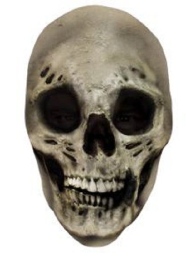 Scary Skull Mask