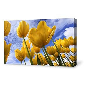 Canvas Wall Art for Living Room,Bedroom Home Artwork Paintings Women
