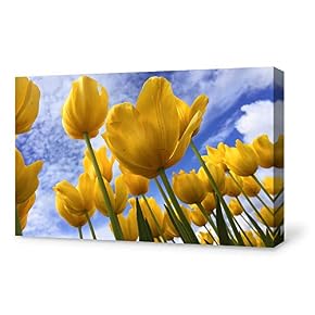 SIGNFORD Canvas Wall Art for Living Room,Bedroom Home...