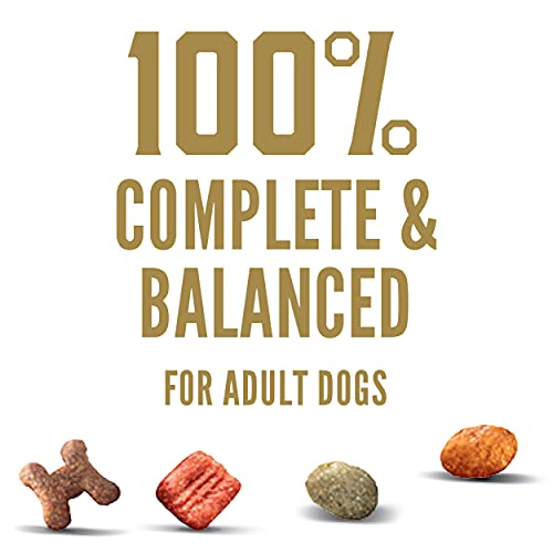 CESAR Small Breed Dry Dog Food Rotisserie Chicken Flavor with Spring Vegetables Garnish Dog