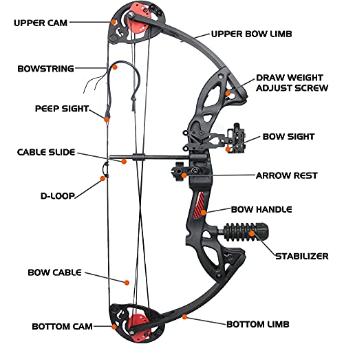 Archery Compound Bow and Arrow for Beginner and Youth，Bowfishing and