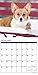 Just Pembroke Corgis 2017 Wall Calendar (Dog Breed Calendars)