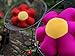 Tache Squishy Micro-Bead Colorful Flower Shaped Pillow - 18