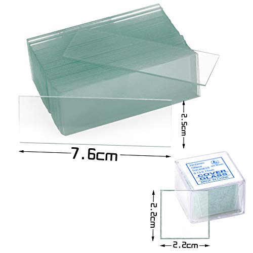 Twdrer 100PCS Clear Transparent Blank Microscope Slides and 100PCS Square Coverslips Cover Glass (22mm x 22mm)