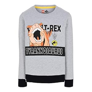 LEGO Lego Jurassic World Sweatshirt jongens Sweater