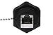 SF Cable CAT6 RJ45 Shielded Industrial Panelmount Bulkhead Coupler with Dust Cap