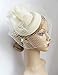 Cizoe Fascinator Hair Clip Pillbox Hat Bowler Feather Flower Veil Wedding Party Hat Tea Hat (1-Beige)