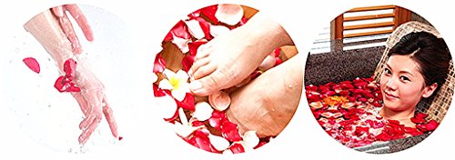 Kinteshun Bath Soap Rose Flower,Flora Scented Rose Petal Bouquet Gift Box I Love You Little Bear Doll(12pcs Rose,Gradually Varied Red) - Thumbnail 5