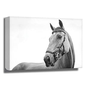 Natural Thoroughbred - Canvas Art