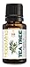 Tea Tree 100% Pure Essential Oil, Melaleuca Therapeutic grade, Concentrated, Powerful, Antifungal, Athletes Foot, Warts, full 15ml/0.5oz-by HopeWind Health