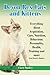 Devon Rex Cats and Kittens Everything About Acquisition, Care, Nutrition, Behavior, Personality, Hea by Clare Smiley