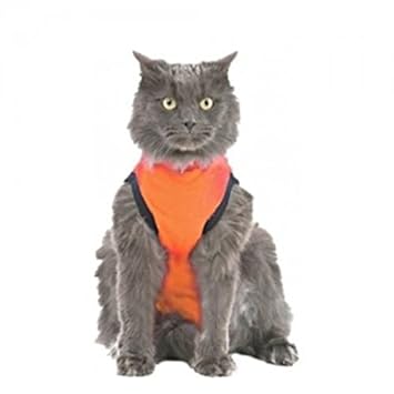 Medical Pet Shirt Für Katze