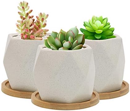Sqowl 4 inch Ceramic Succulent Planter Pot Modern Cactus Herb Flower Planters with Bamboo Tray Indoor or Outdoor Set of 3