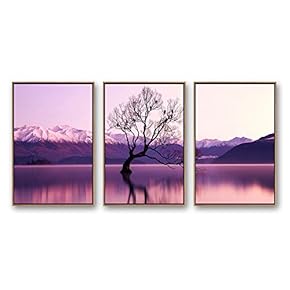 Framed Canvas Wall Art for Living Room, Bedroom Beautiful Nature Norway Landscape Canvas Prints for Modern Home Decoration Ready to Hang - 16"x24"x3 Panels