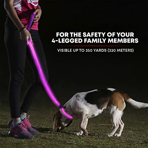 ILLUMISEEN LED Light Up Dog Leash Ultra High Visibility Up to 350