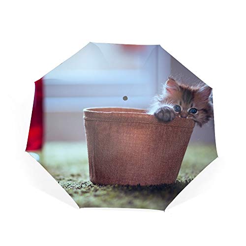 Travel Umbrella Windproof Compact Kitten Planters Lamp Hide Playful Fluffy Umbrella Automatic Open Close Folding Portable Golf Umbrellas with UV Coating