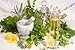 ALL Skin Problems including Psoriasis Eczema Acne Pemphigus Dandruff Dry or oily skin (Bio20)