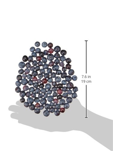 Organic Blueberries, 6 oz