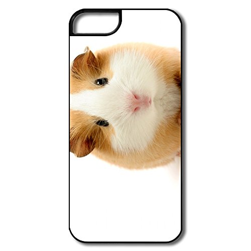 LFL-CASE For IPhone 5/5s Personalized Cool Cute Guinea Pig