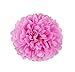 Paper Jazz 12pcs Hanging Black Pink White Tissue Pompoms for Kids Birthday Baby Shower Wedding Diva Party