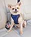 PetSafe Happy Ride Dog Safety Harness for Cars - Dog Car Harness Includes Seat Belt Tether - Keeps Pets Restrained - Breathable Mesh, Adjustable Straps - Dog Travel Accessories for Car - Small